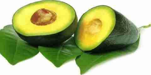 avocado mask for oily skin