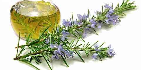 Essential Oils For Oily Skin Face